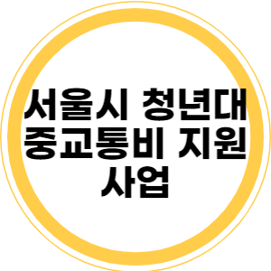 서울시 청년대중교통비 지원사업 교통마일리지 지급